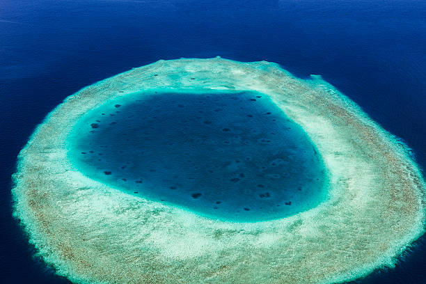 Coral Reef and detail of Atoll stock photo