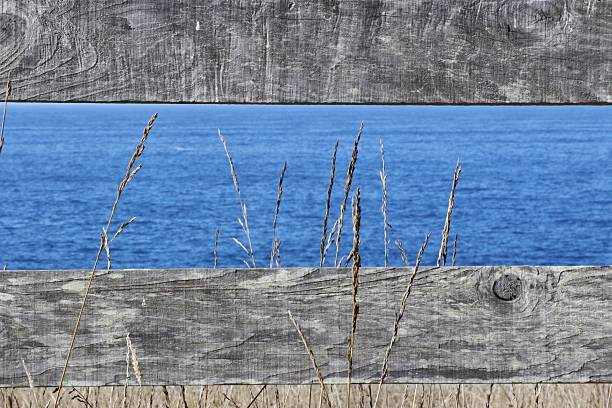 istock Nature: Ocean - wooden fence 491281014