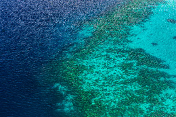 Coral Reef and detail of Atoll stock photo