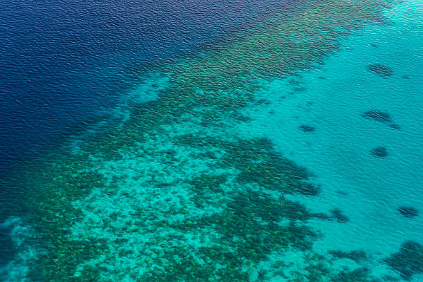 Coral Reef and detail of Atoll stock photo