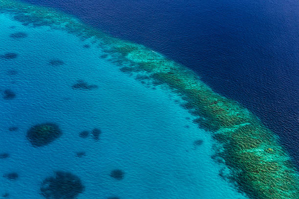 Coral Reef and detail of Atoll stock photo