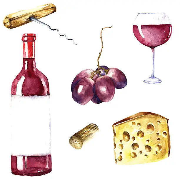 Vector illustration of Watercolor wine design elements.
