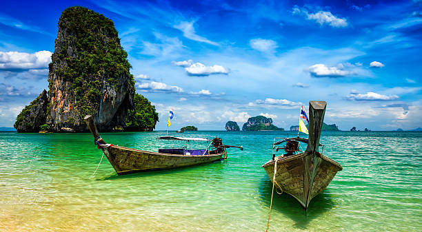 istock Long tail boats on beach, Thailand 491283600