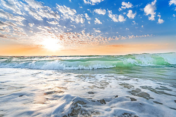 istock Tropical beach at sunset - nature background 491295200