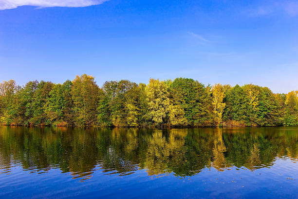 istock Landscape with River and Multicolored Trees in Autumn Time 491296344