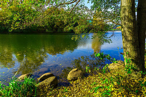 istock Autumn Nature with Background Trees and Tree Branches Above River 491297820
