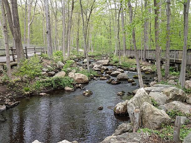 istock Nature center in Stamford 491309856