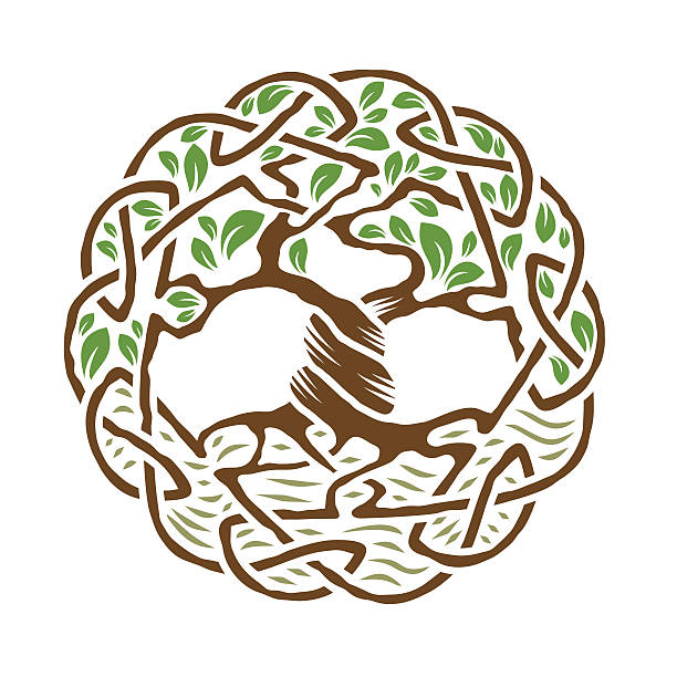 illustrations, cliparts, dessins animés et icônes de celtic arbre de vie - yggdrasil