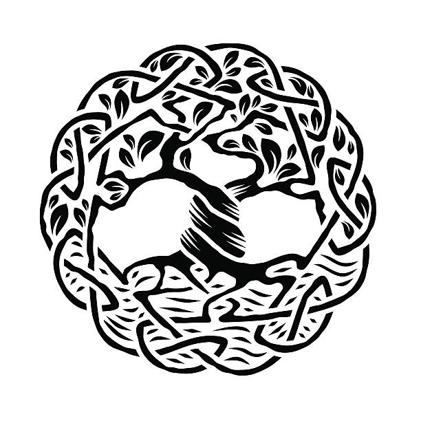 ilustraciones, imágenes clip art, dibujos animados e iconos de stock de celta árbol de la vida - yggdrasil