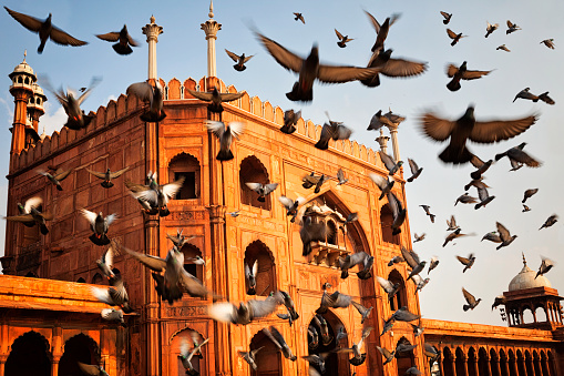 Jama Masjid-Old Delhi, India photo
