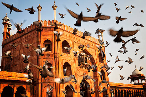 Flock of birds flying in front of Jama Masjid mosque in Old Delhi, India.