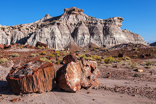 istock Painted Desert Badlands Petrified Forest 491314544