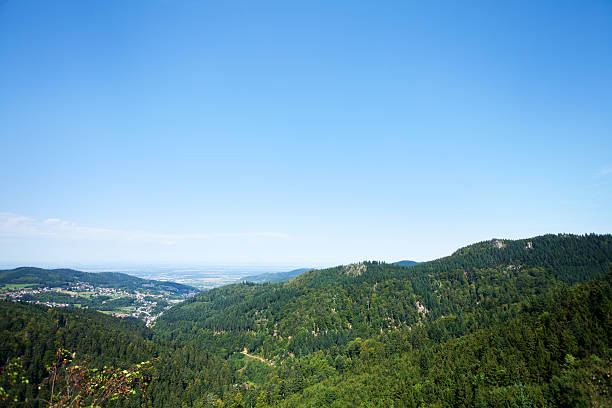 istock Black Forest at Gertelbachschlucht 491315690