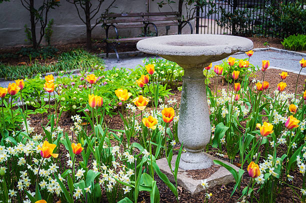 vecchia uccello bagno nel parco - birdbath foto e immagini stock