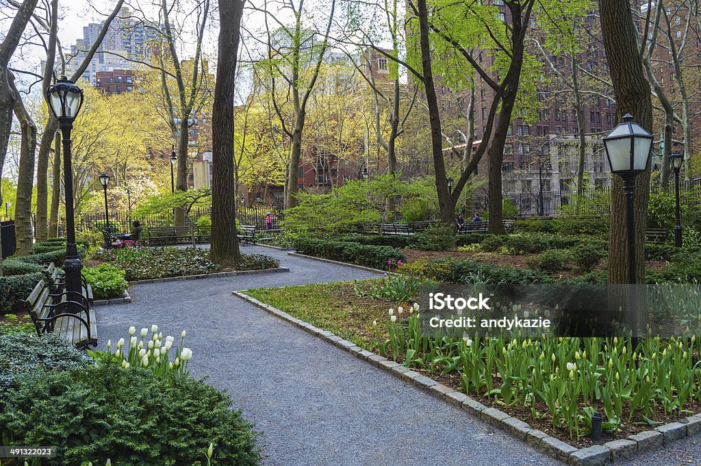 Tudor City Greens Spring White tulips in bloom during Spring in  Tudor City Greens, a small park on the East side of Manhattan. New York City Stock Photo