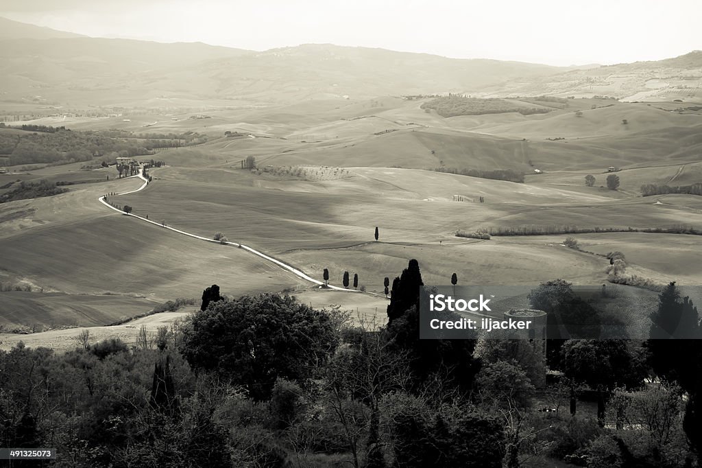 View of Tuscany Hill, Pienza, Italy Agricultural Field Stock Photo