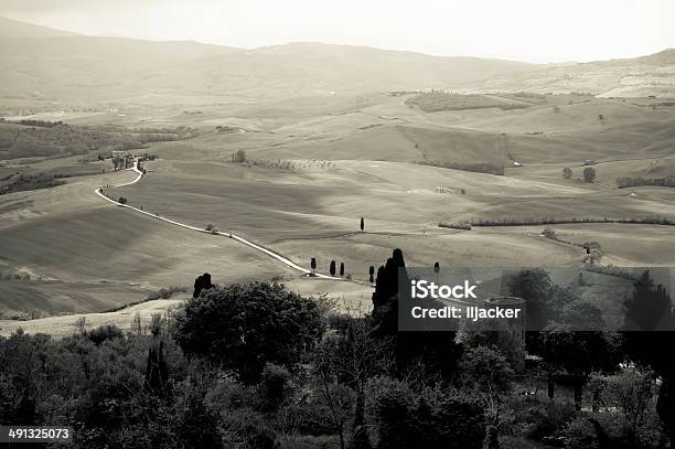 View Of Tuscany Hill Pienza Italy Stock Photo - Download Image Now - Agricultural Field, Agriculture, Backgrounds