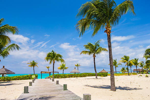 Pink sands beach resort ground with view of the ocean and palm trees.