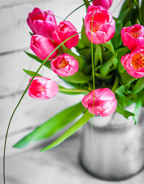istock Tulips on wooden rustic background 491327531