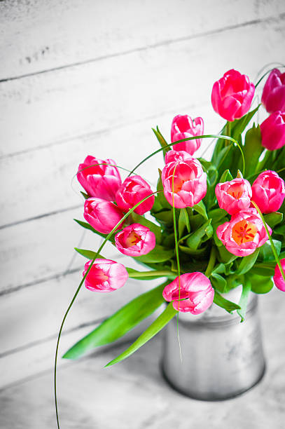 istock Tulips on wooden rustic background 491327553