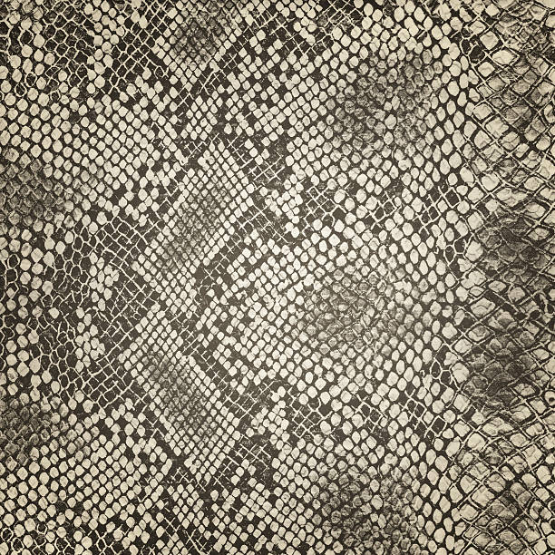 istock Wild animal body skin pattern 491327897