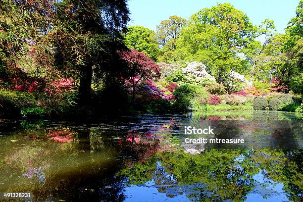 Fish Pond In Landscaped Garden With Japanese Maples And Trees Stock Photo - Download Image Now