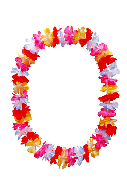 Oval Lei Necklace Hawaiian oval lei necklace isolated on white background floral garland stock pictures, royalty-free photos & images