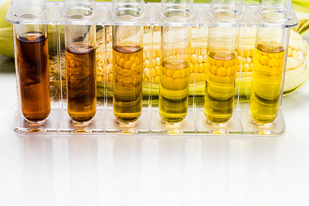 istock Corn derived ethanol biofuel with test tubes on white background 491333534