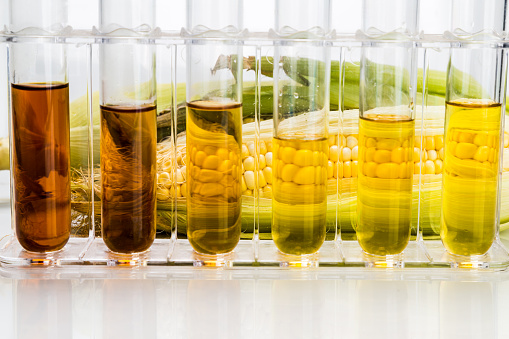 Corn derivados etanol combustible biológico con tubos de ensayo sobre fondo blanco photo