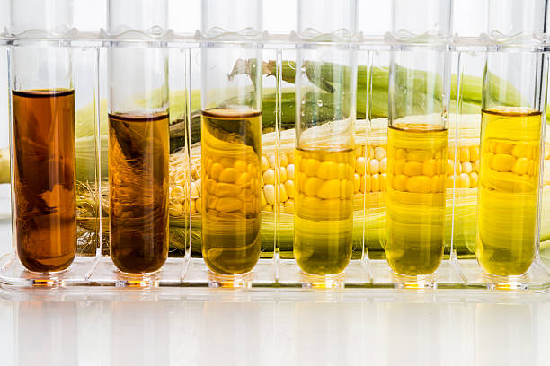 mais derivate etanolo biocarburanti con test tubi su sfondo bianco - e85 foto e immagini stock