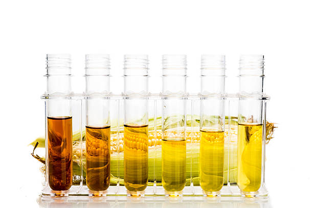 istock Corn derived ethanol biofuel with test tubes on white background 491333572