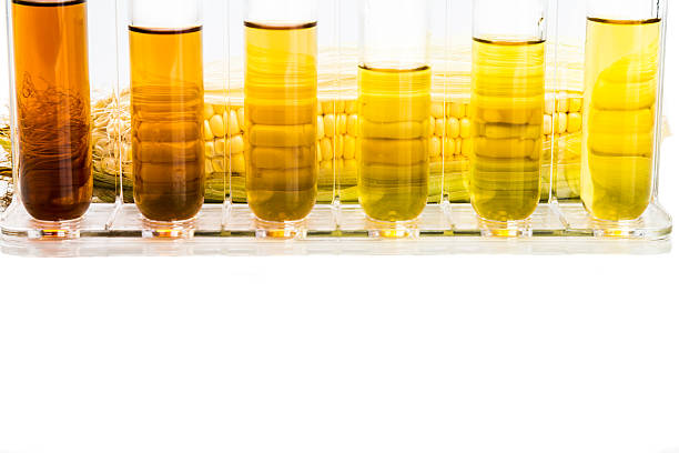 istock Corn derived ethanol biofuel with test tubes on white background 491333600