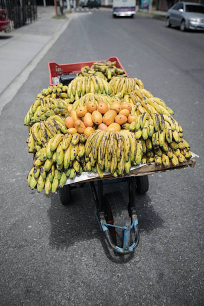 istock Bananas and mangoes cart 491333710