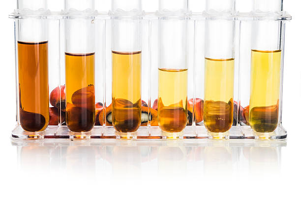 istock Oil palm biofuel biodiesel with test tubes on white background. 491333754