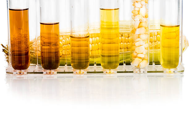 istock Corn derived ethanol biofuel with test tubes on white background 491334030