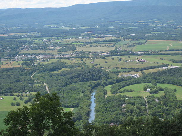 istock River Cuts through the Wooded Valley 491334760