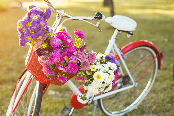 istock Vintage old retro bike 491335346