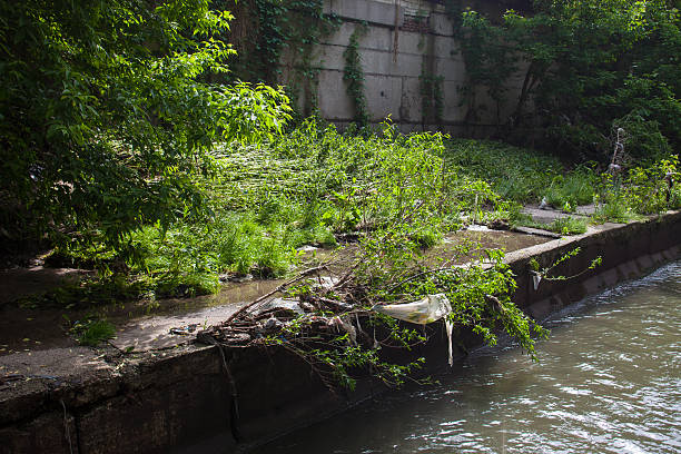 istock Water pollution. Garbage on the urban stream bank 491347986