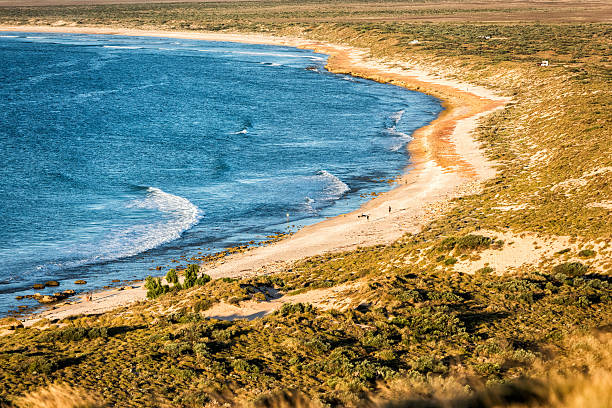 istock Ningaloo west australia paradise beach 491349626