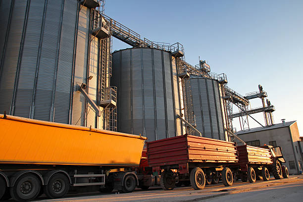 istock Tractor and Truck Beside Grain Silos 491351560