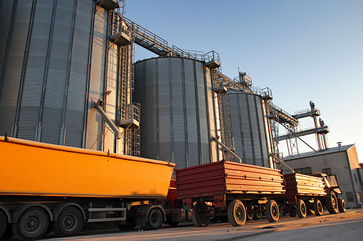 Loading maize or wheat into metal silo for storage after the harvest.
