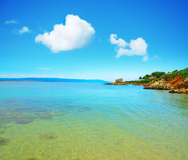 istock crystal clear water in Alghero shoreline 491363386