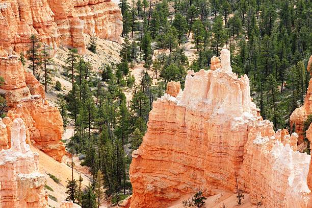 istock Agua Canyon in Bryce Canyon National Park 491364174