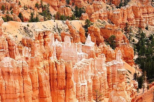 istock Agua Canyon in Bryce Canyon National Park 491364208