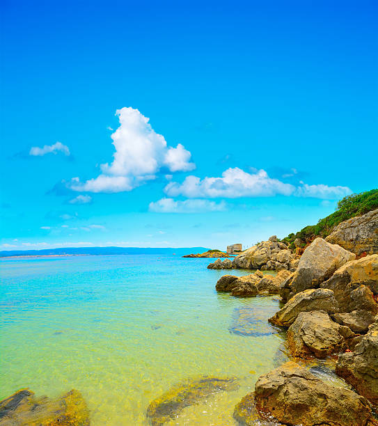 istock yellow rocks in Alghero coastline 491364246