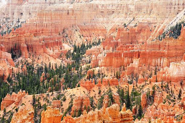 istock Agua Canyon in Bryce Canyon National Park 491364466