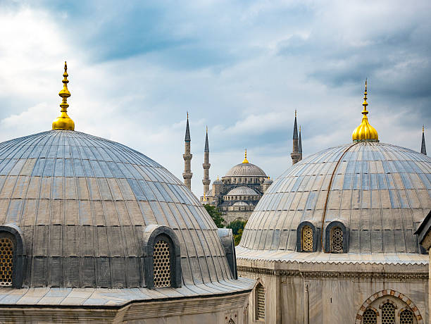 istock Blue Mosque or Sultan Ahmed Mosque in Istanbul 491375290