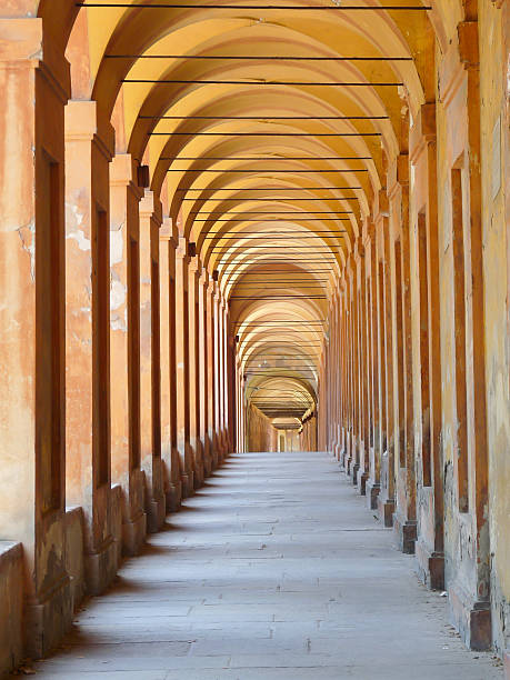 istock Covered Portico In Bologna 491376816