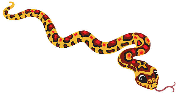 kreskówka wąż zbożowy - rat snake illustrations stock illustrations