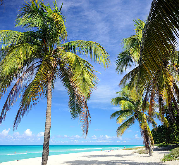 caribbean spiaggia - varadero beach foto e immagini stock